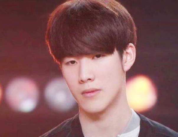 麻将的学习曲线解析（麻将学习曲线深度解读）